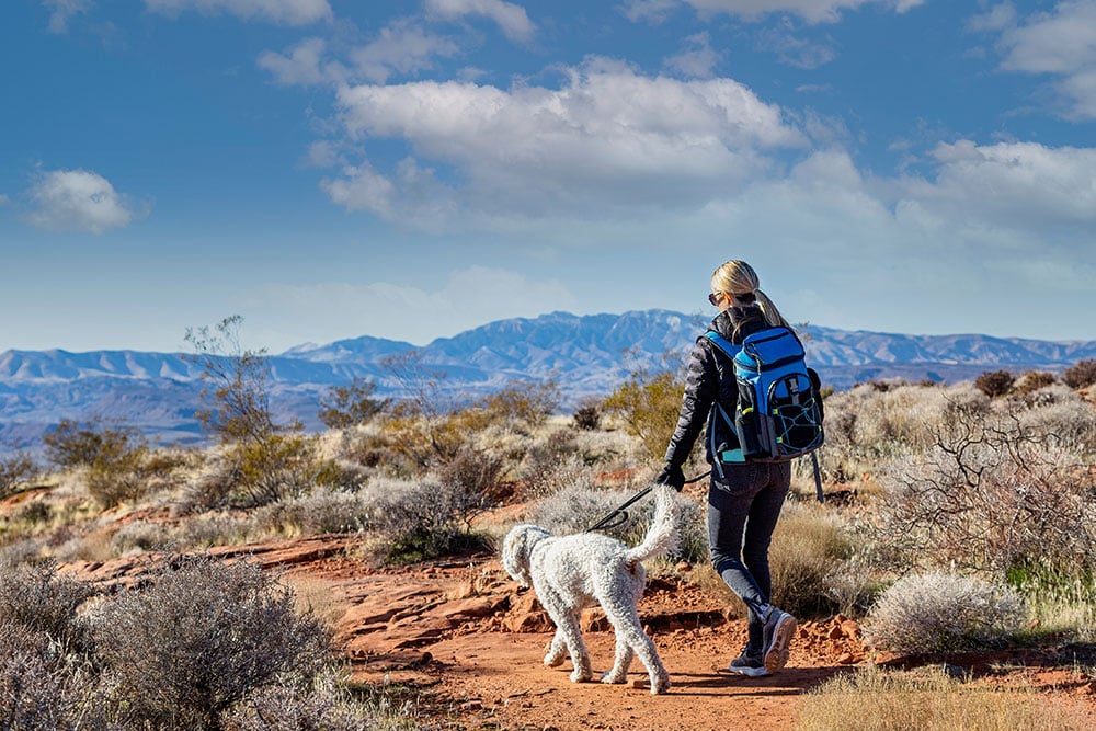 A person hiking along a red desert trail with a dog on a leash, mountains visible in the distance
