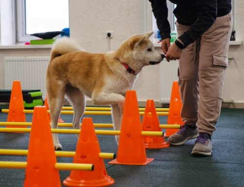 Overexertion and Exercise-Related Collapse